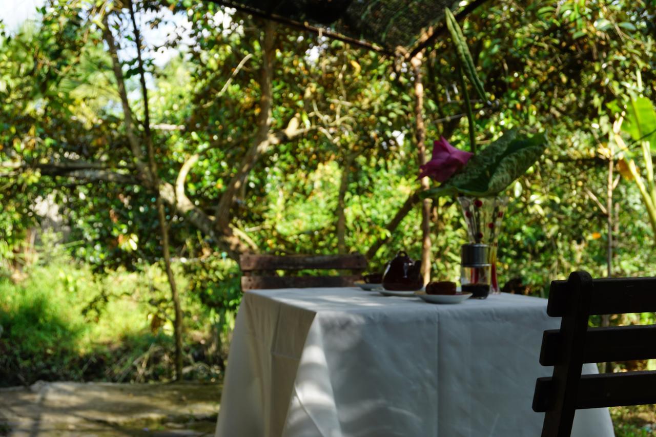 Mekong Way Homestay Cai Be Exteriér fotografie
